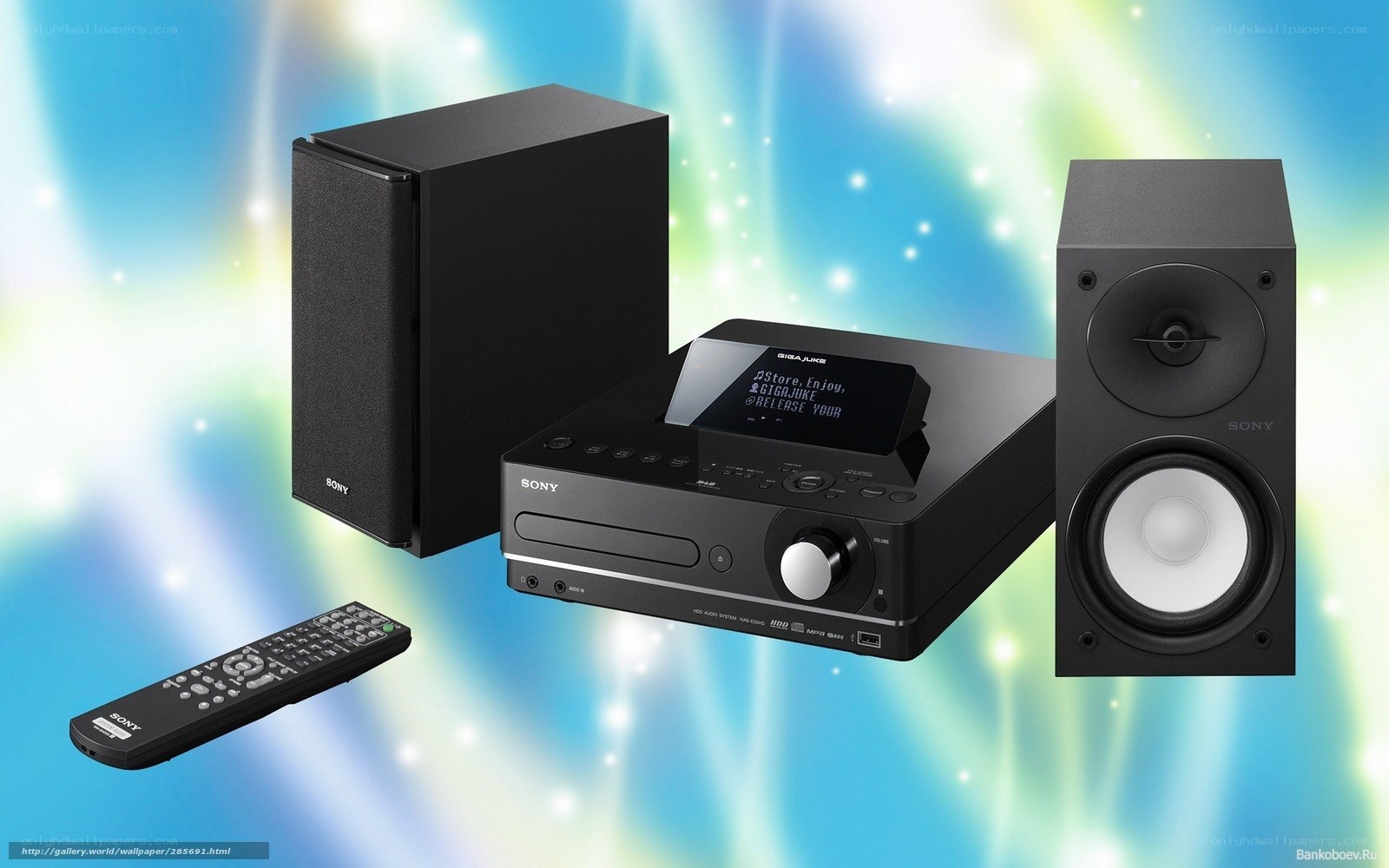 Sony audio system with speakers