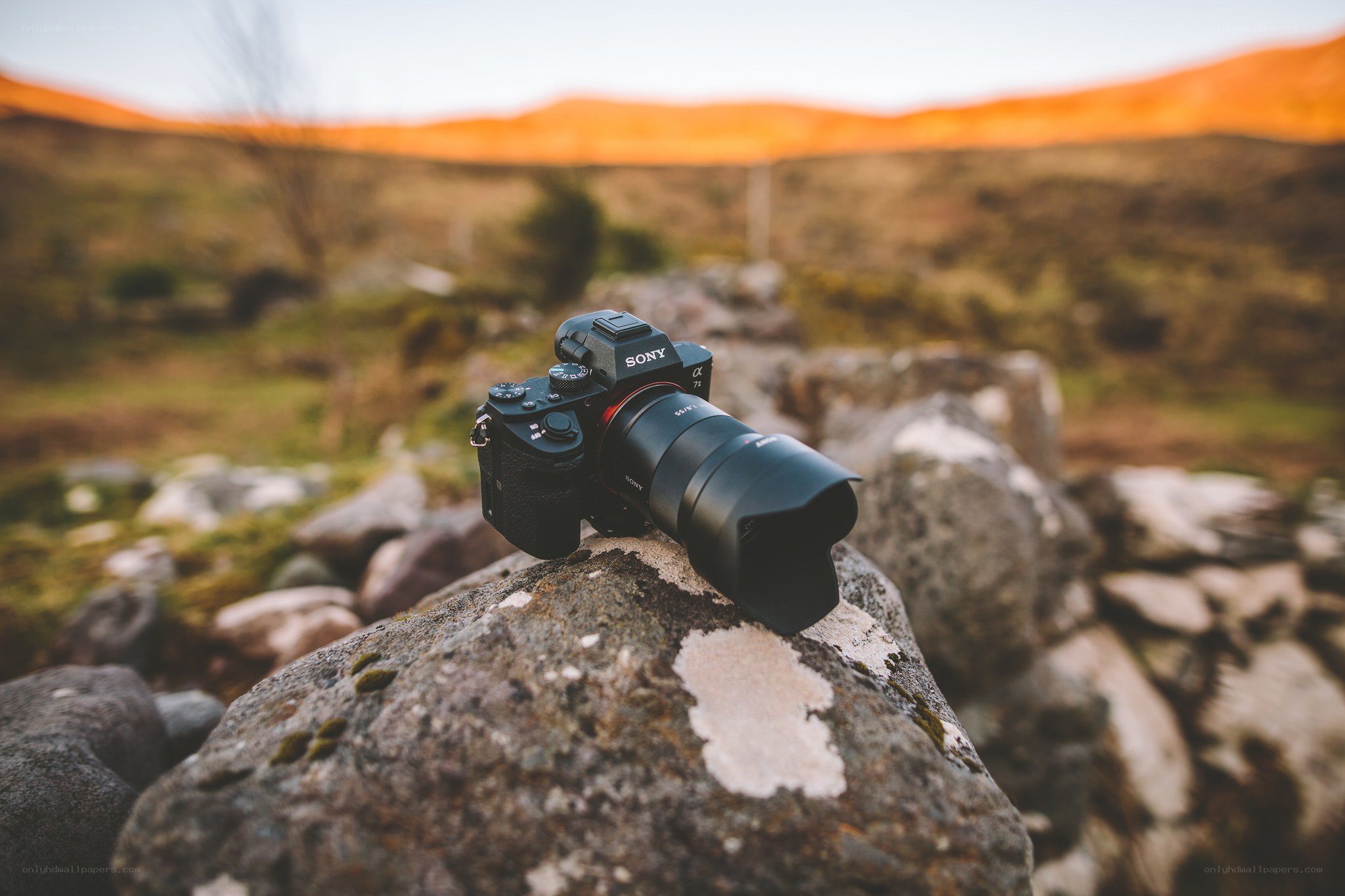 Sony camera on a rock