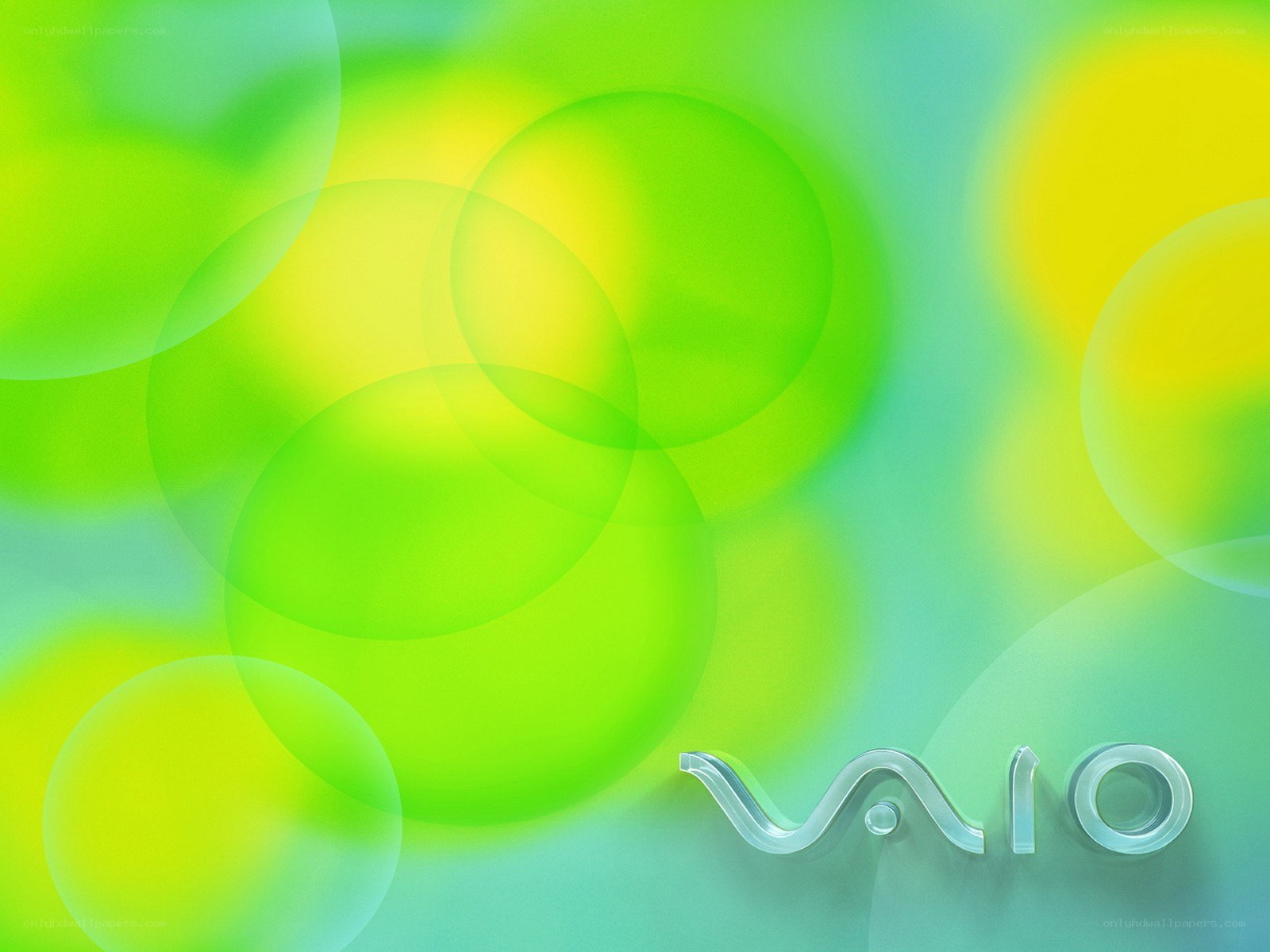 Sony VAIO logo on green background