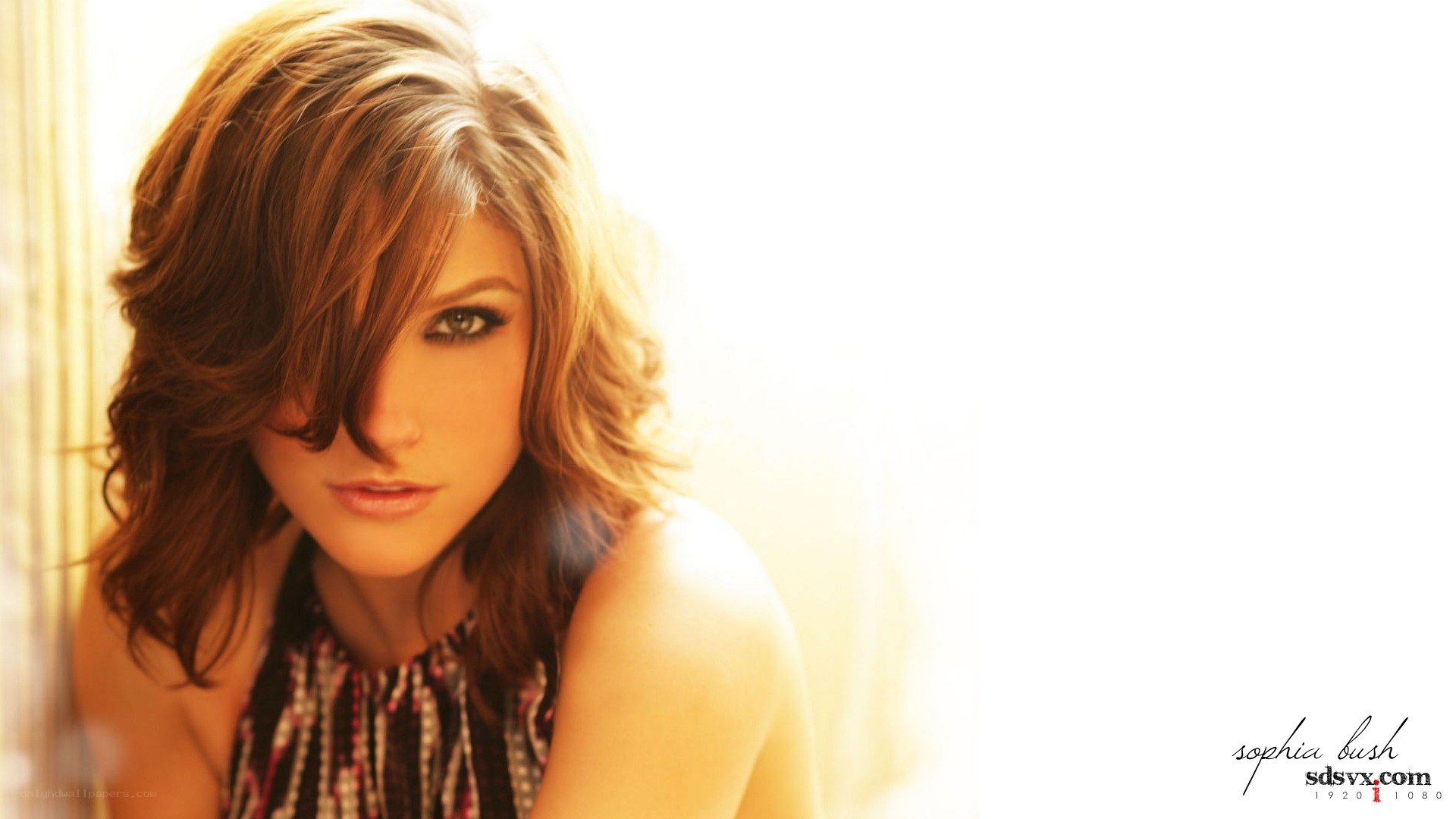 Sophia Bush portrait