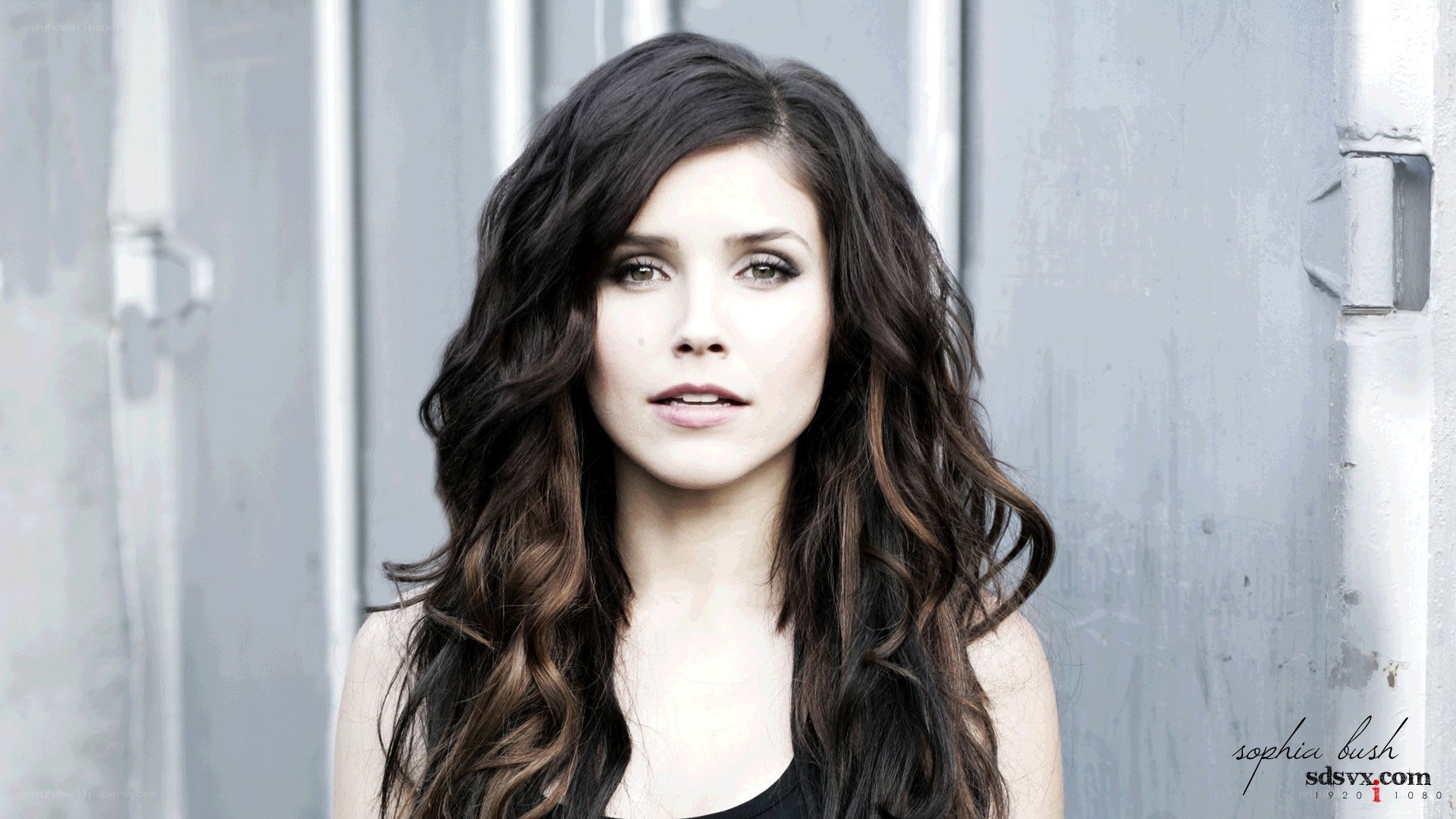 Sophia Bush portrait
