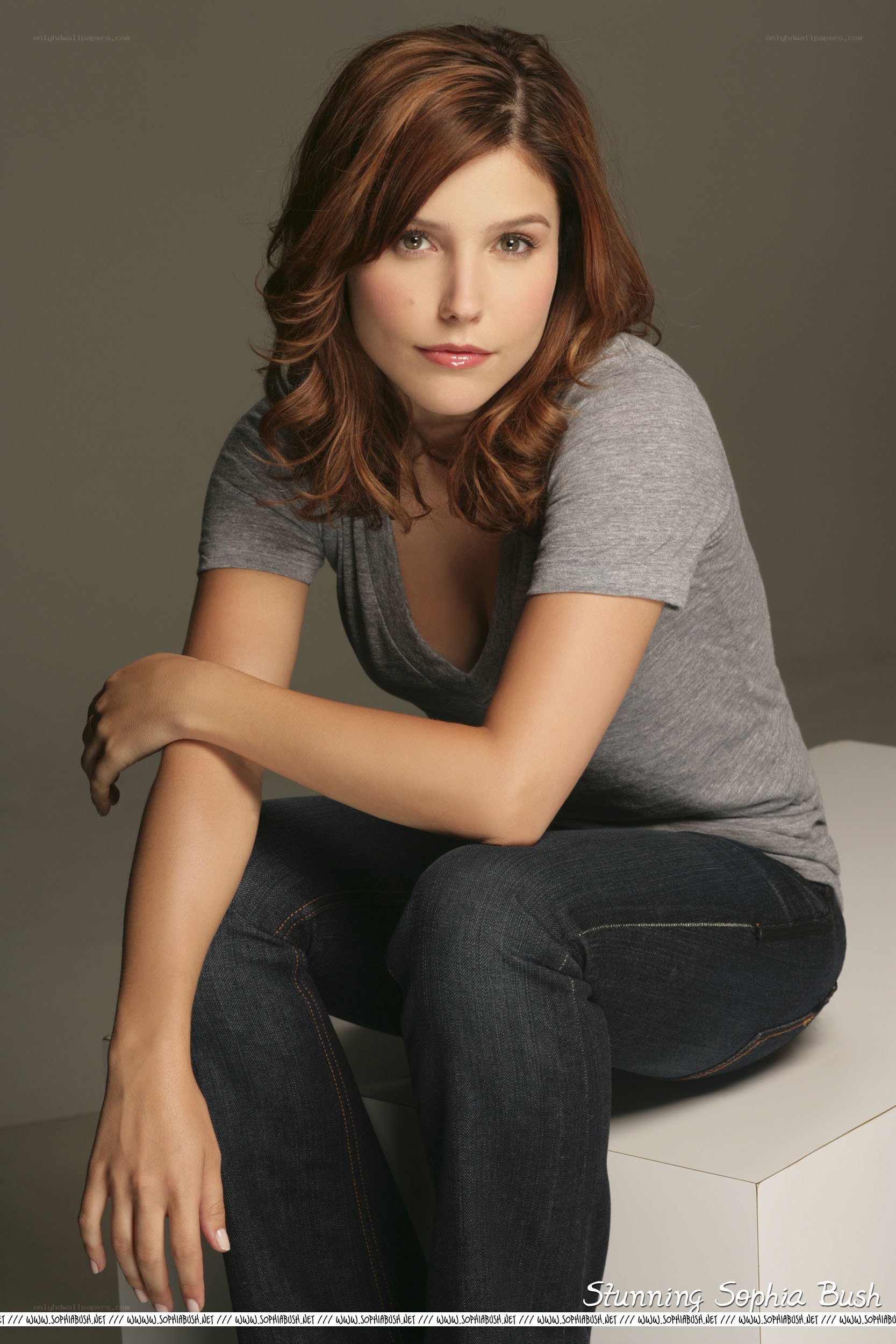 Sophia Bush portrait
