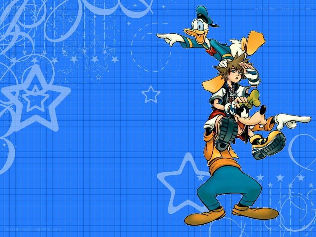 Sora and Donald in action