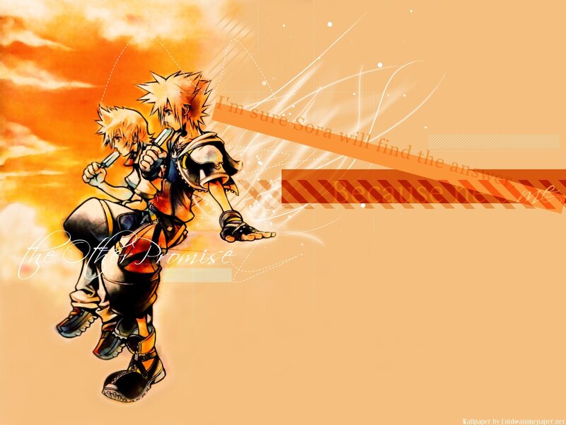 Sora and Riku in action