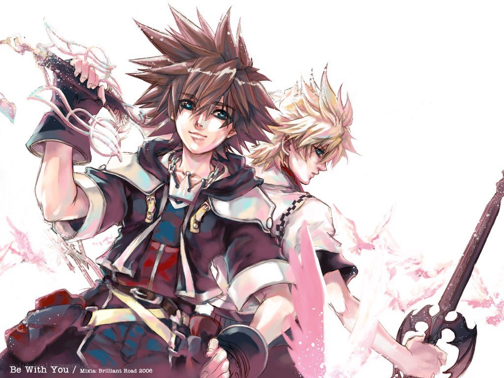 Sora and Roxas in battle