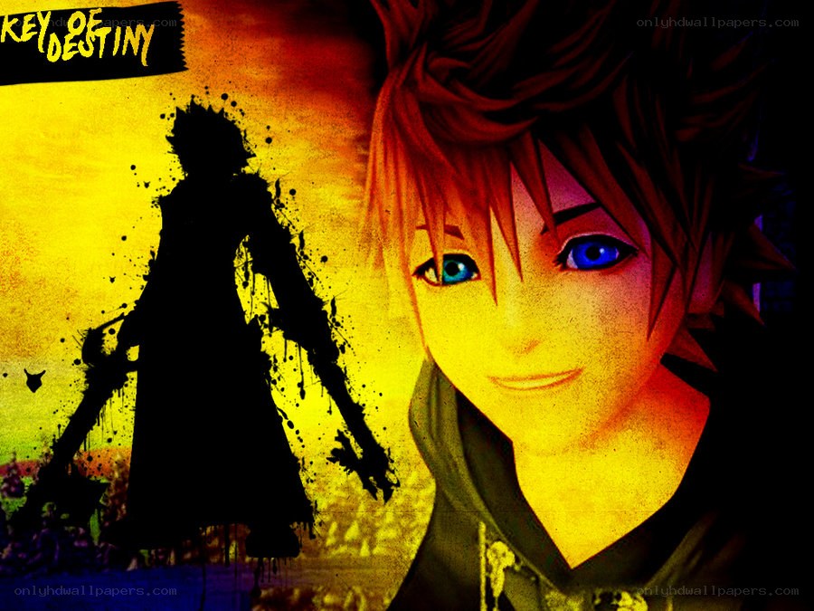 Sora from Kingdom Hearts