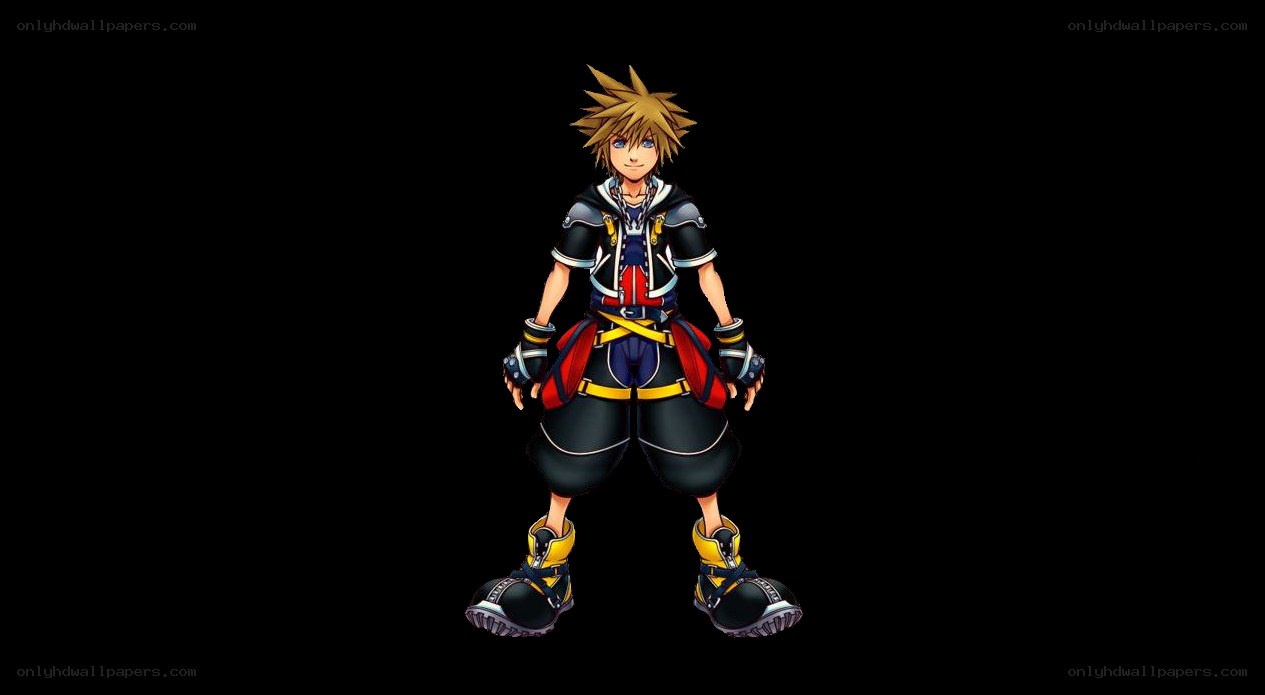 Sora from Kingdom Hearts