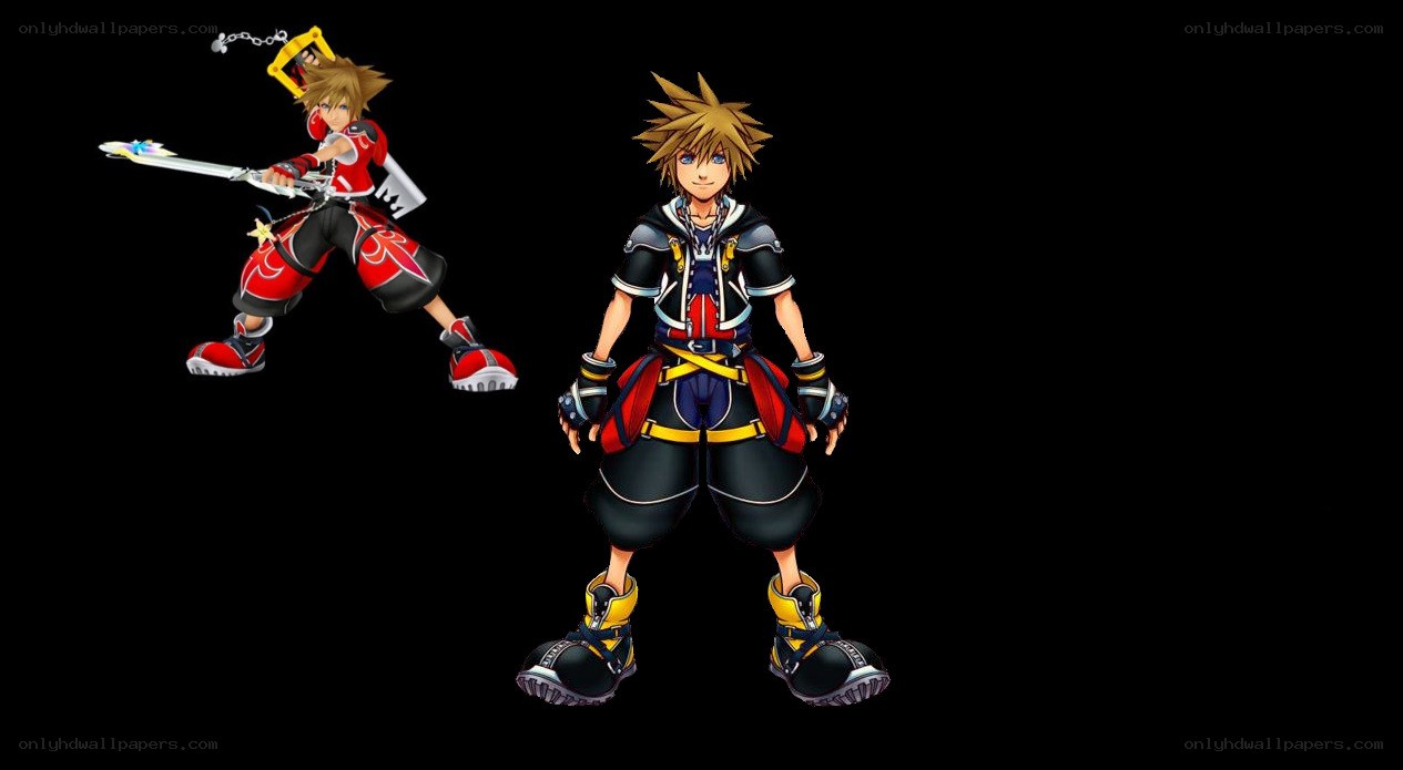 Sora from Kingdom Hearts