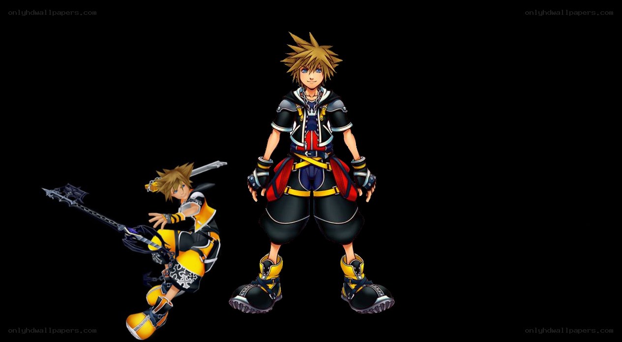 Sora from Kingdom Hearts