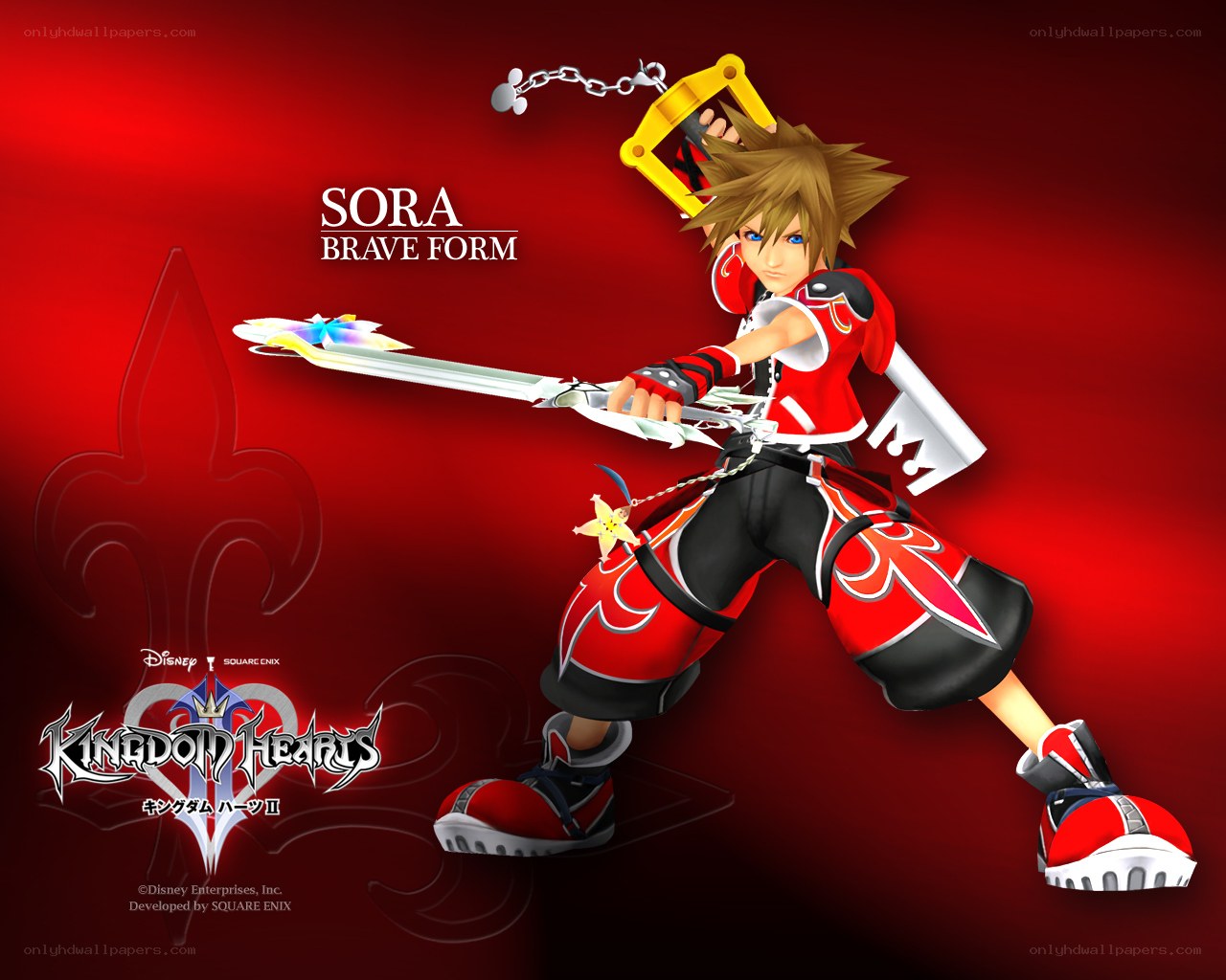 Sora in Brave Form