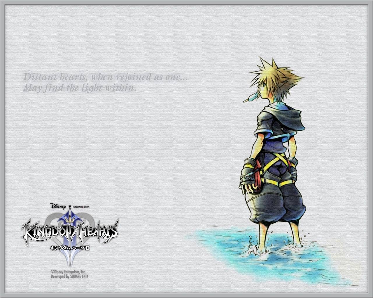 Sora in shallow water