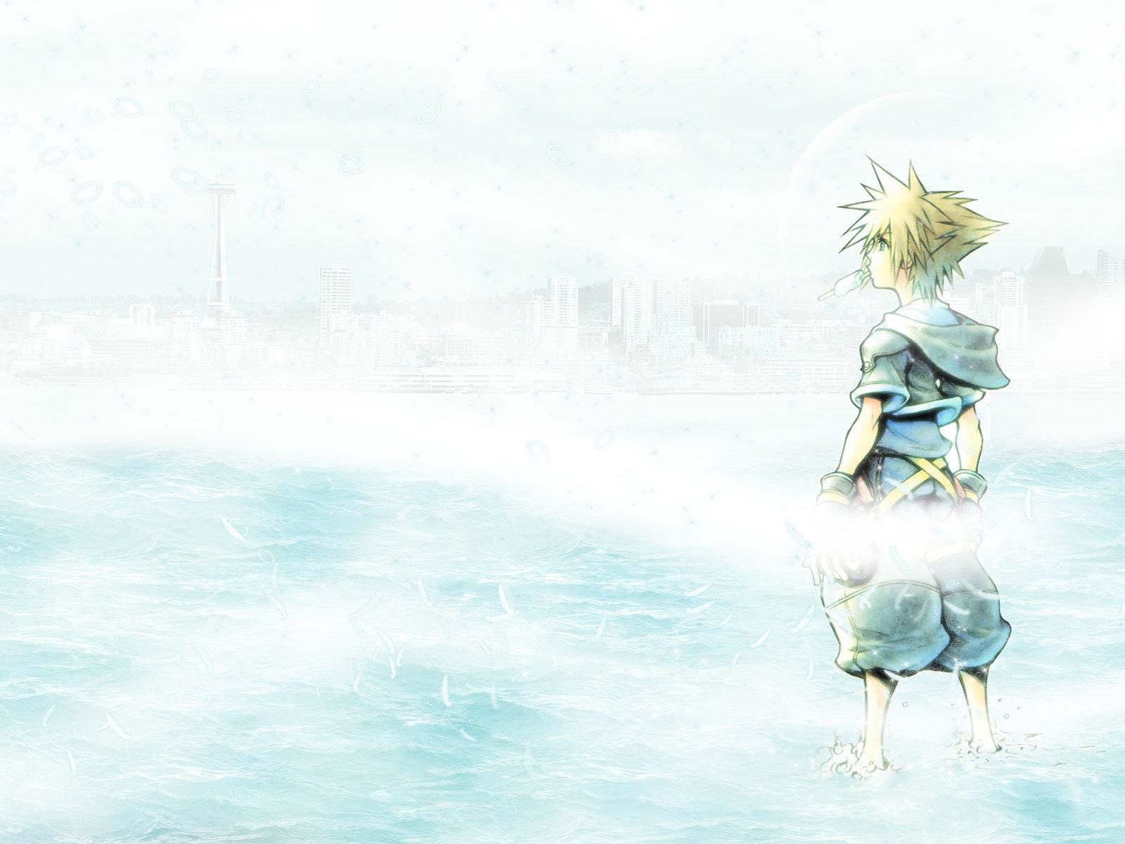 Sora in the water