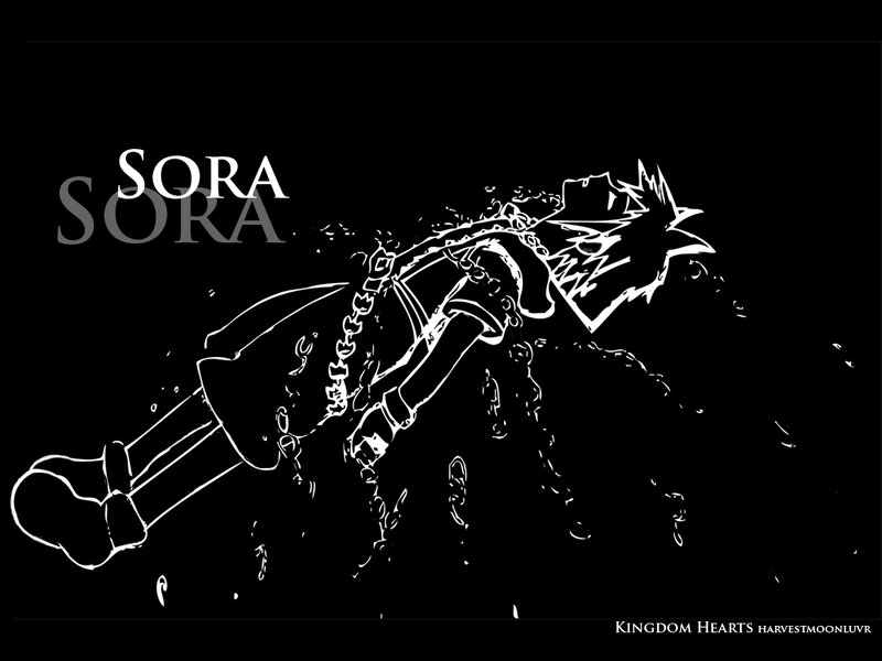 Sora Lying on Ground