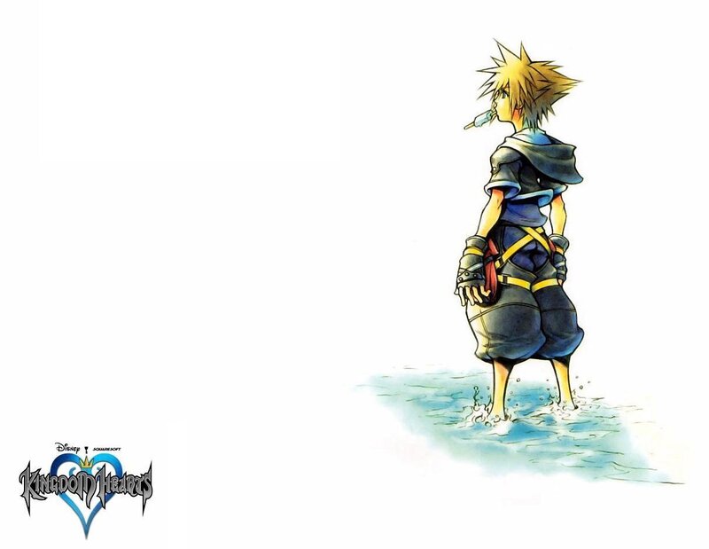 Sora on a beach