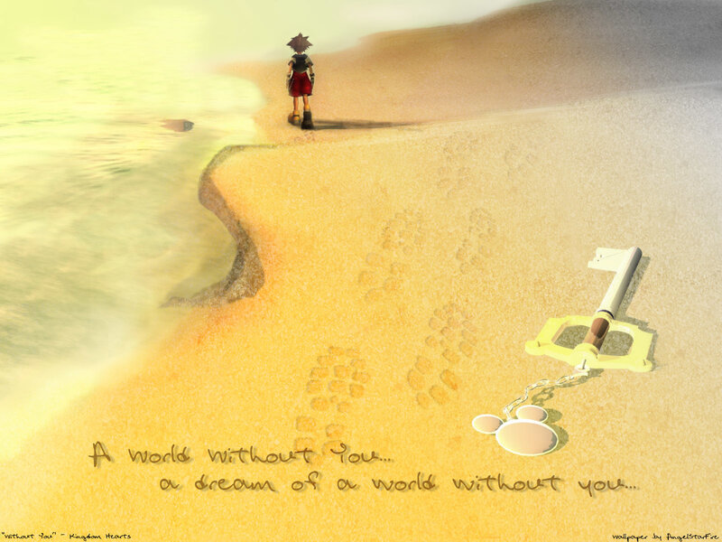 Sora on a beach