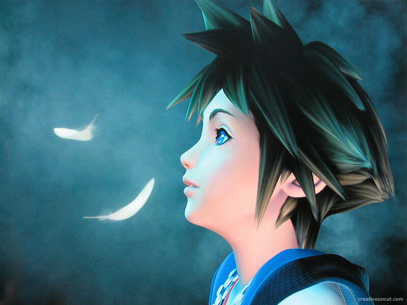 Sora watching feathers float