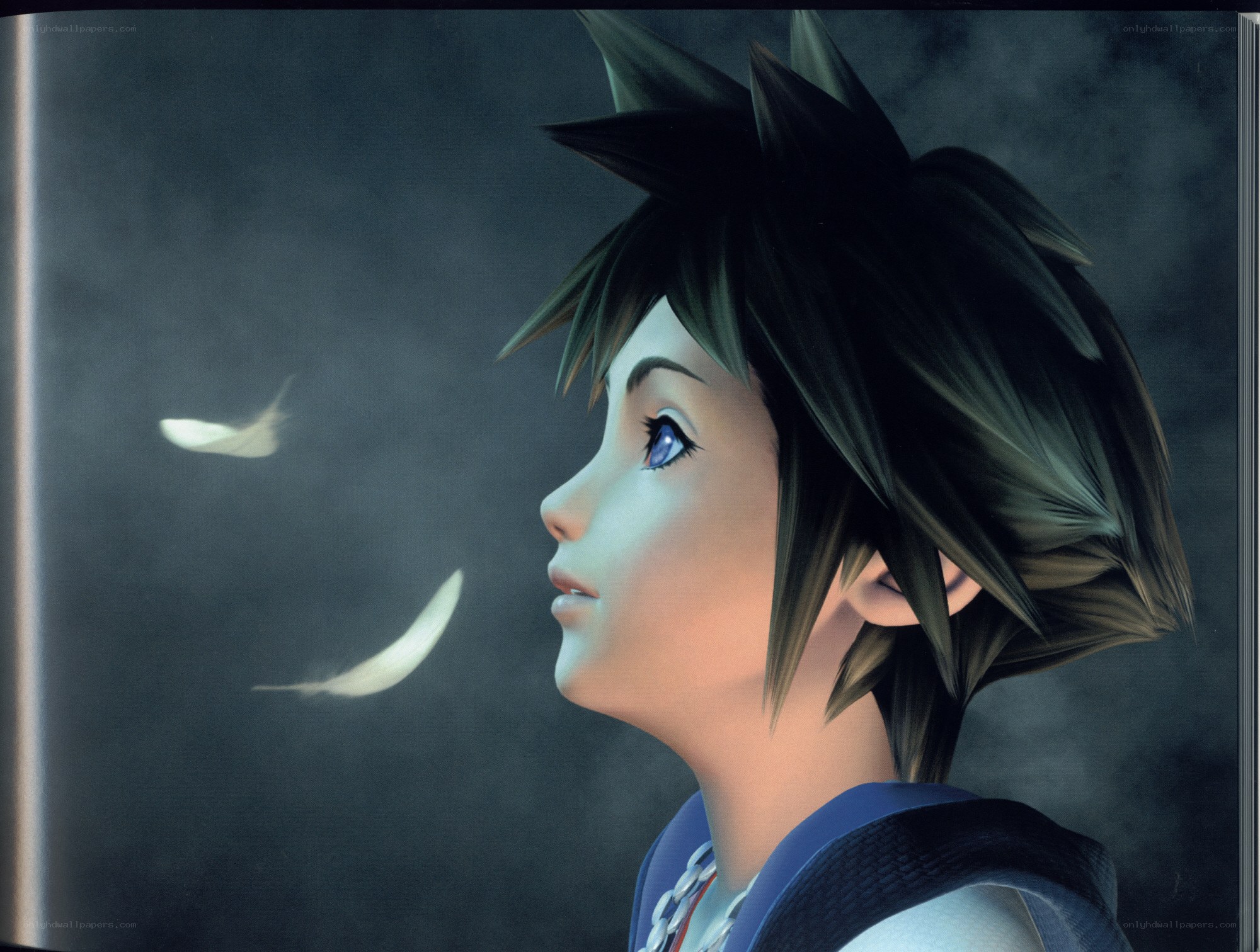 Sora with feathers in the wind