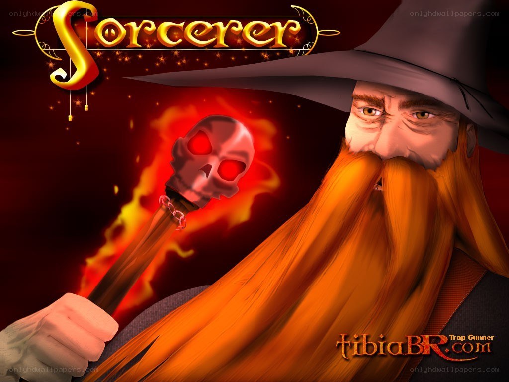 Sorcerer with skull staff