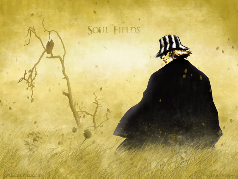 Soul Fields character art