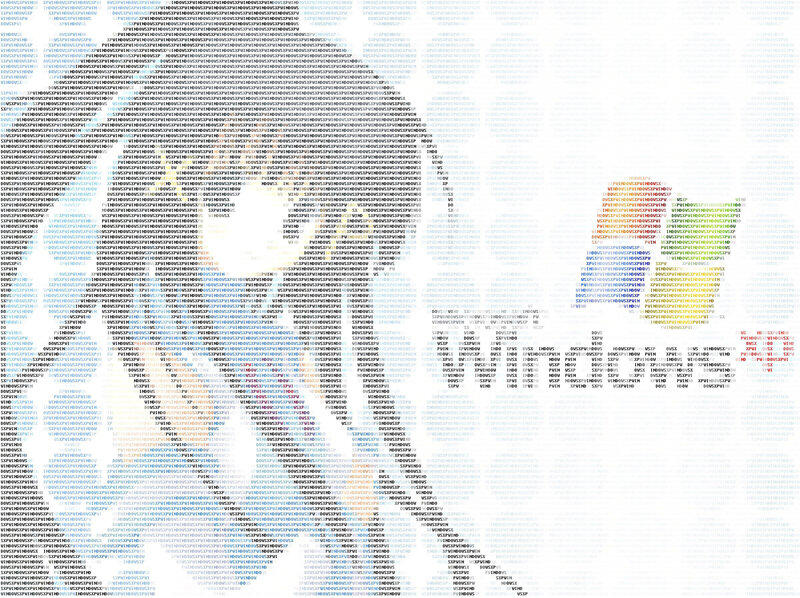 Source code text display