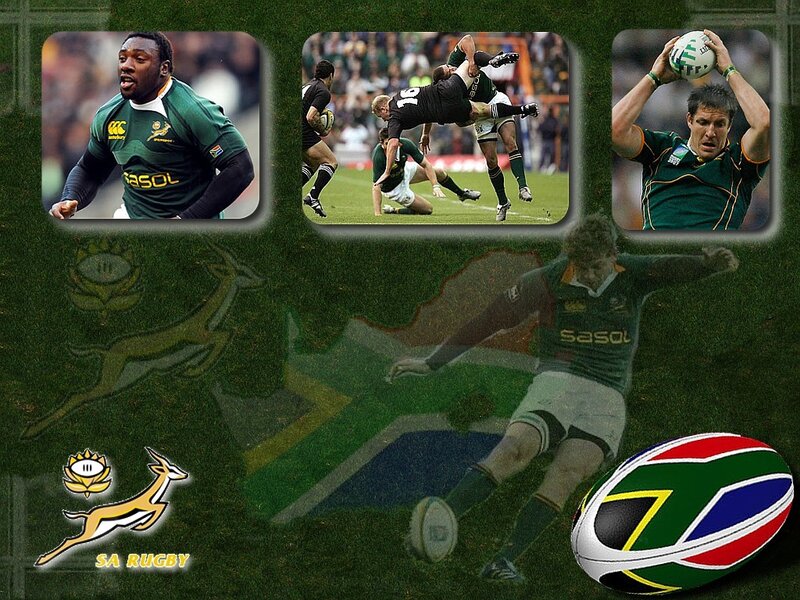 South Africa Rugby Team Collage