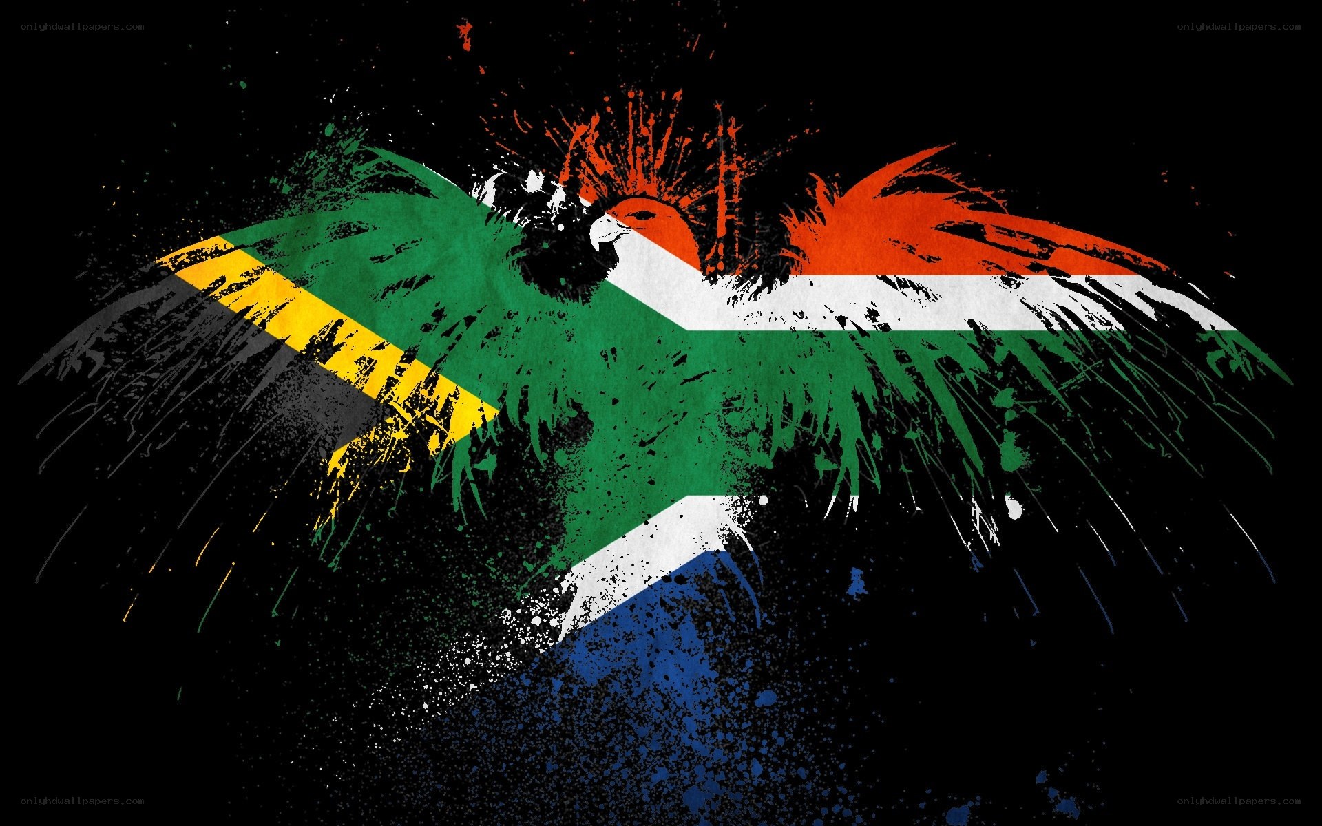 South African flag eagle art
