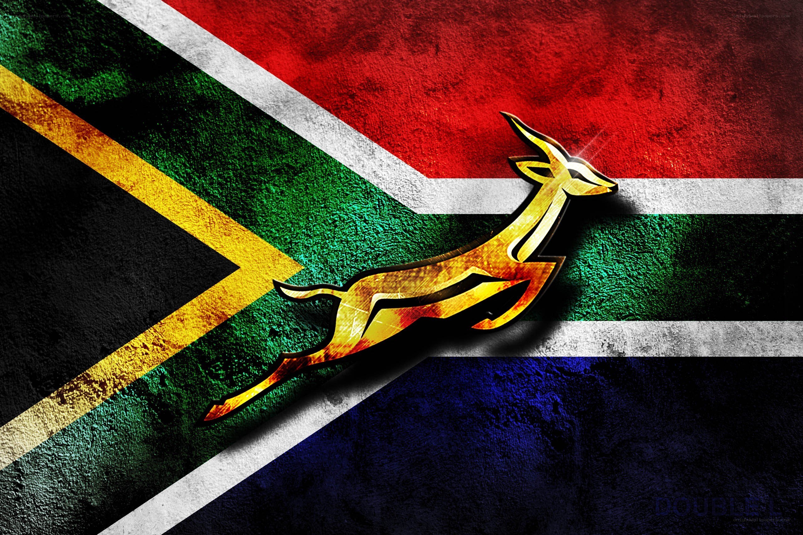 South African flag with Springbok logo
