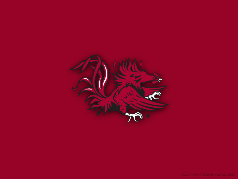 South Carolina Gamecocks logo