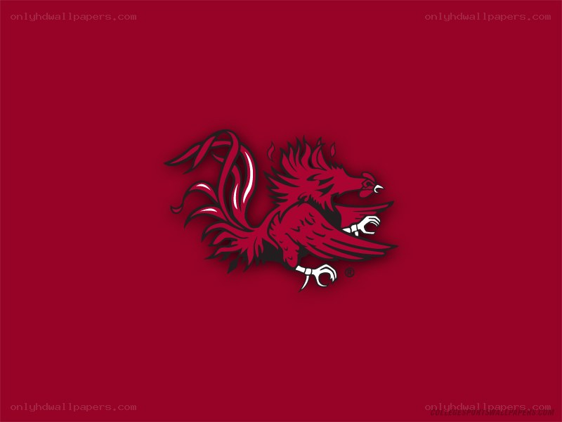 South Carolina Gamecocks logo