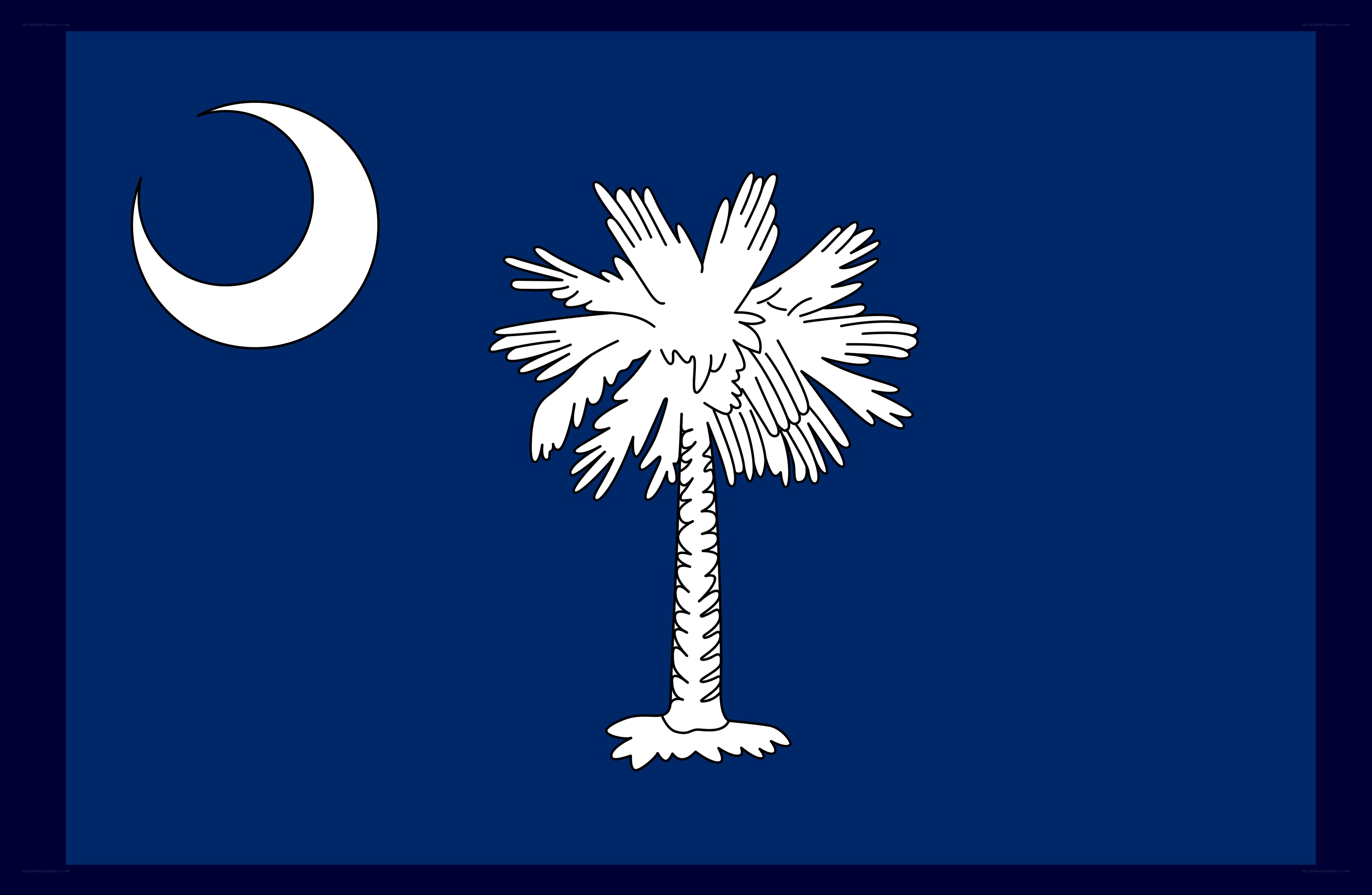 South Carolina state flag