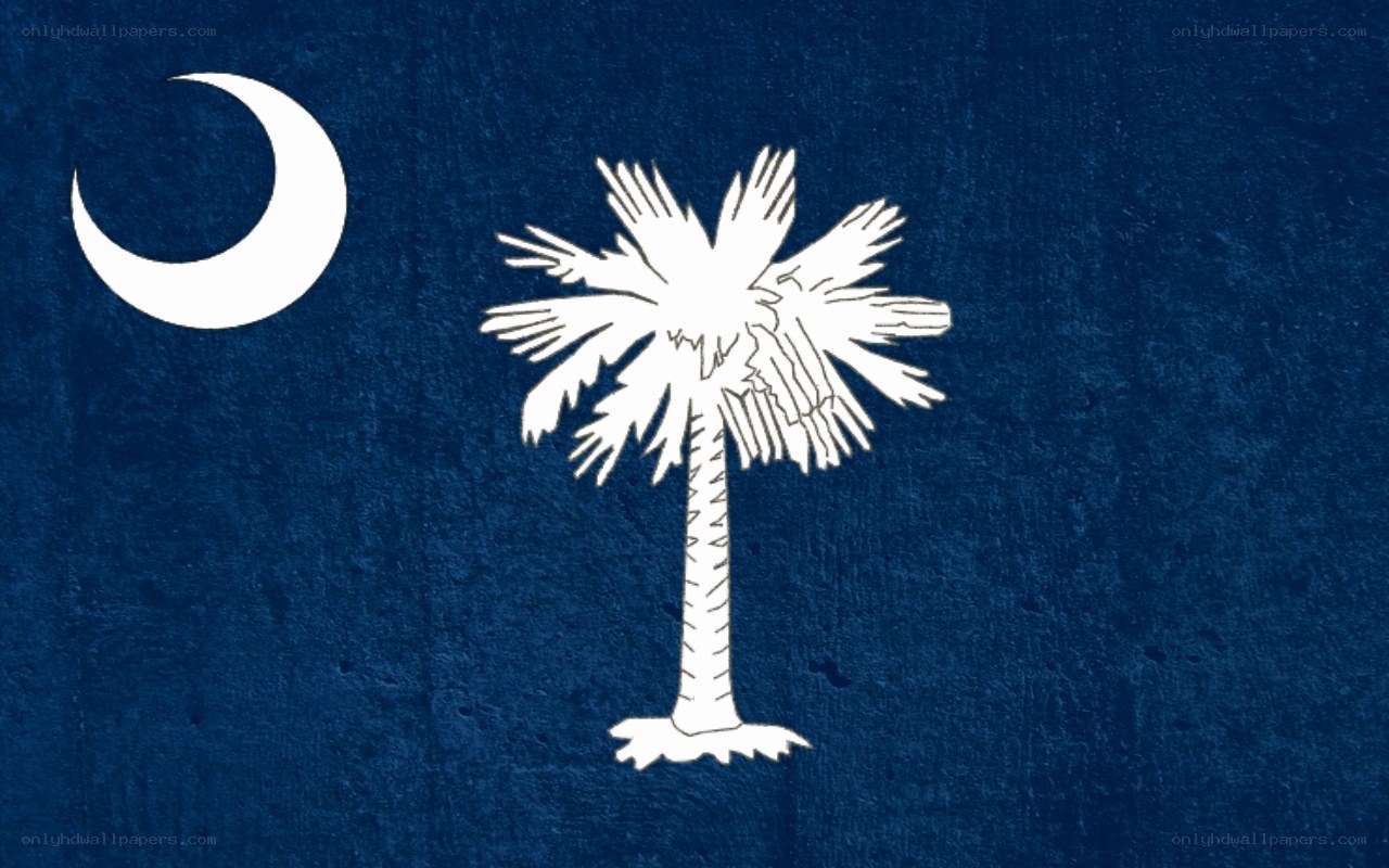 South Carolina state flag
