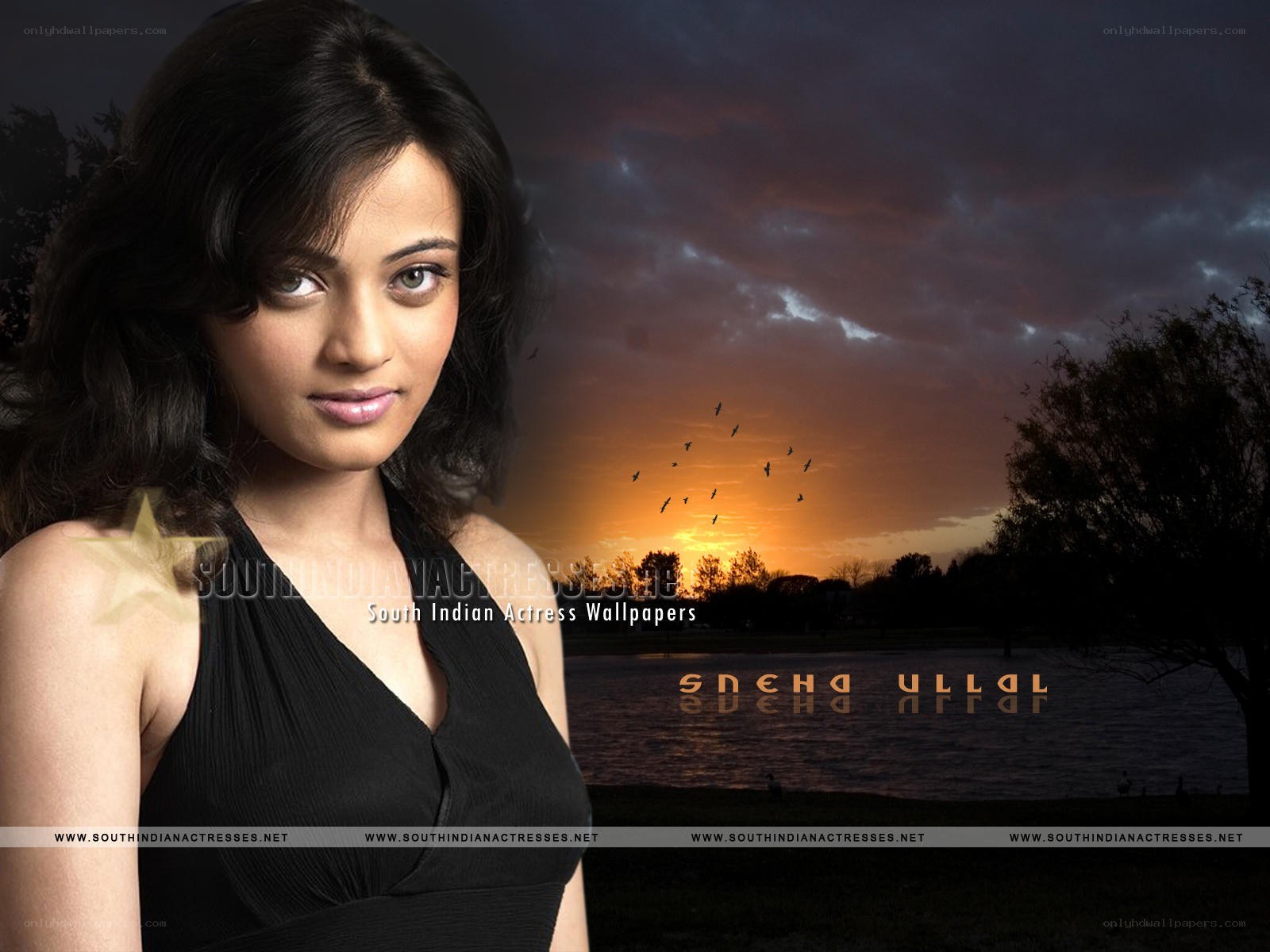 South Indian actress wallpaper