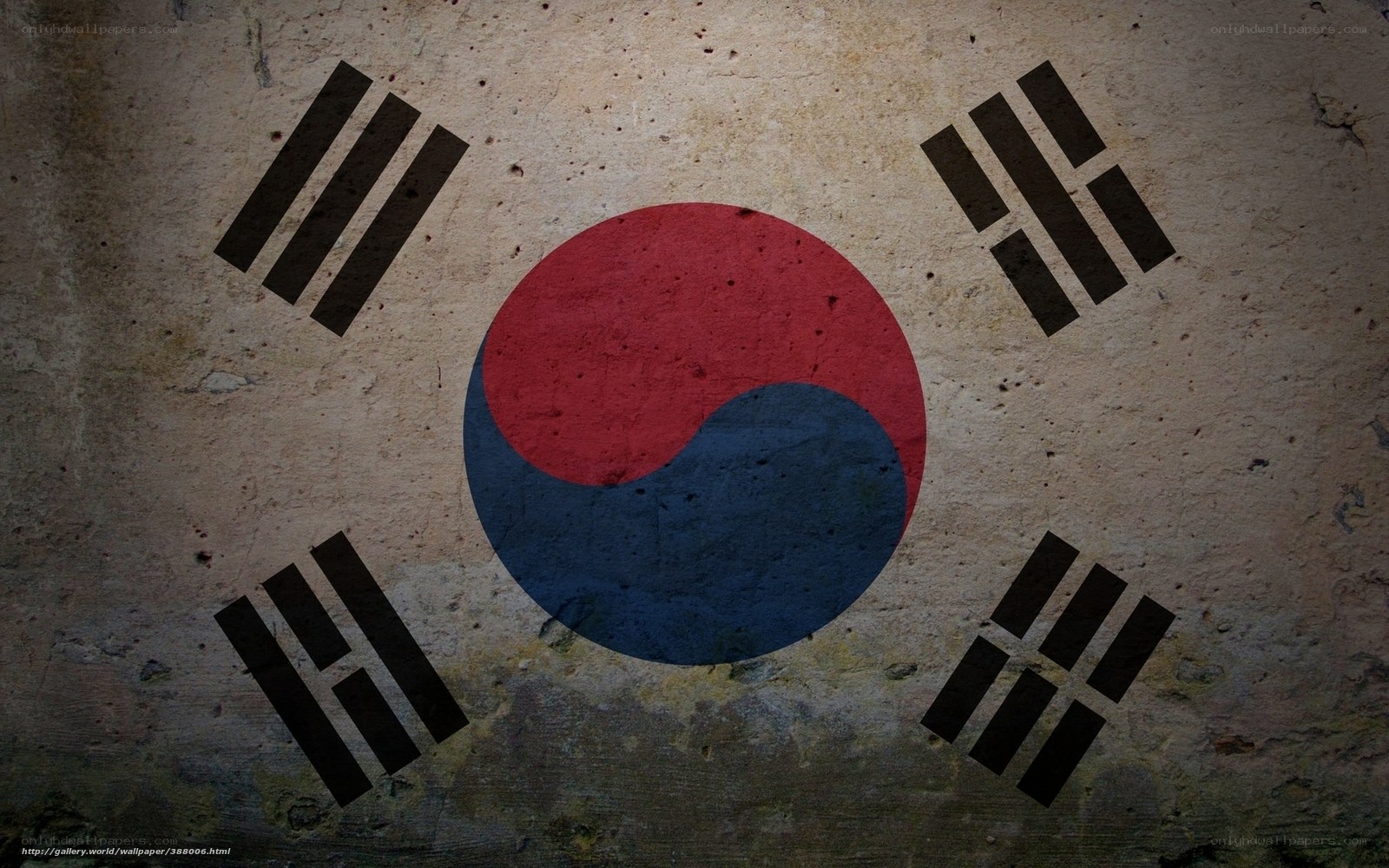 South Korean flag on textured wall