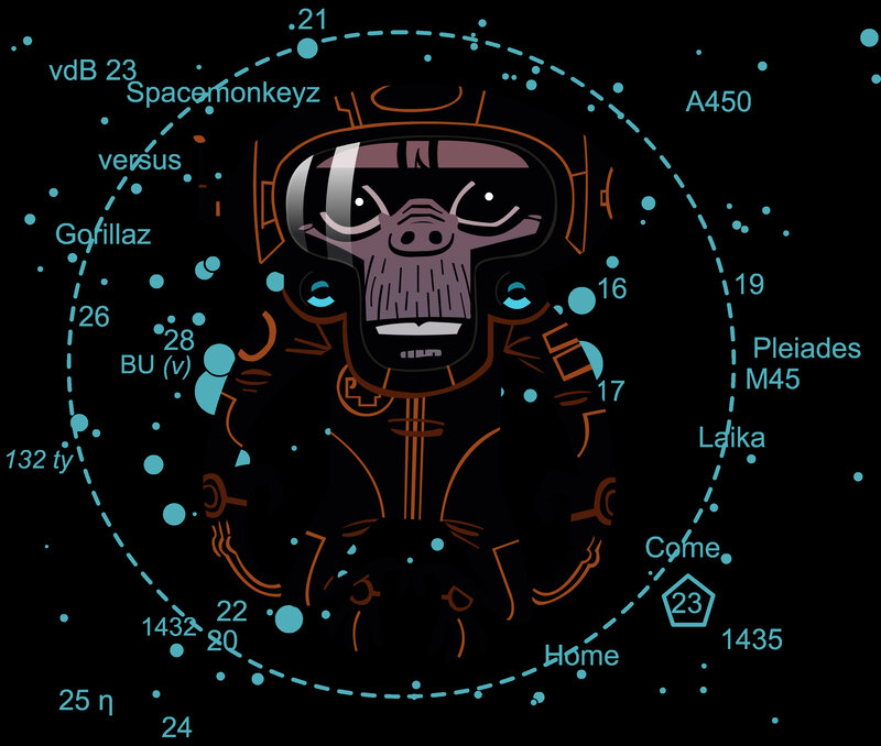 space monkey astronaut