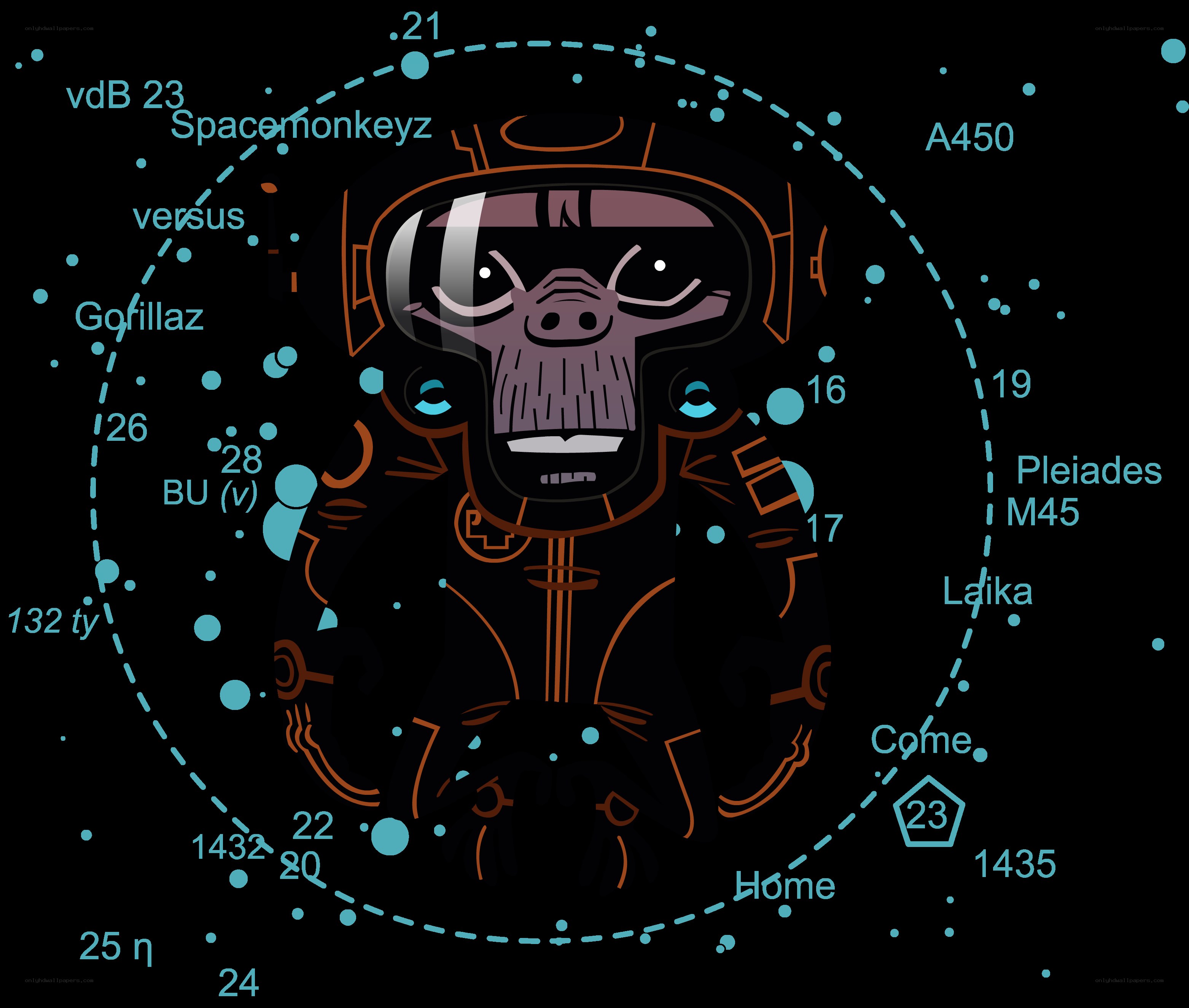 space monkey astronaut