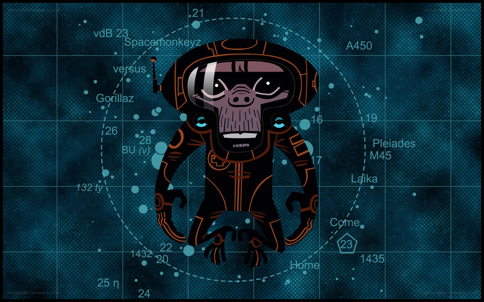 space monkey character