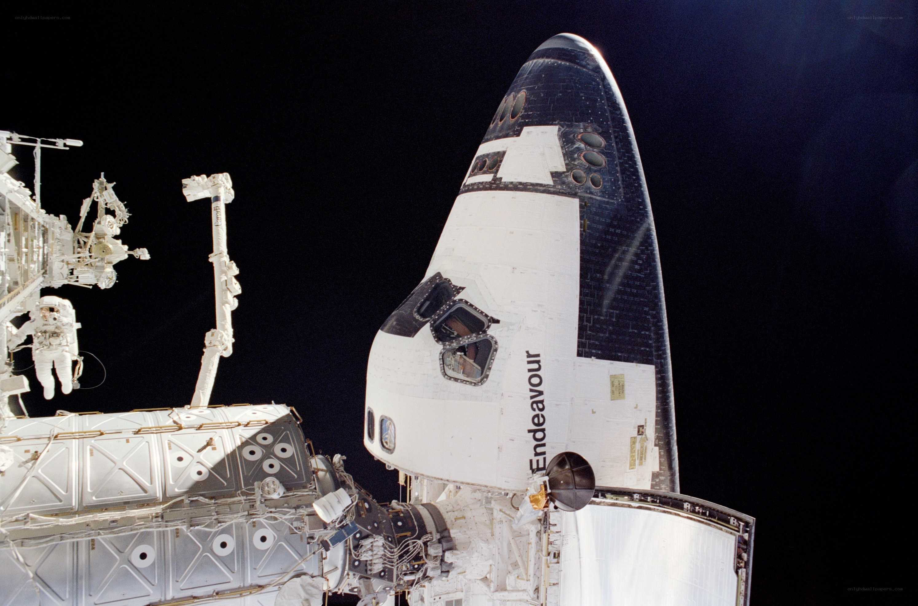 Space shuttle Endeavour docked
