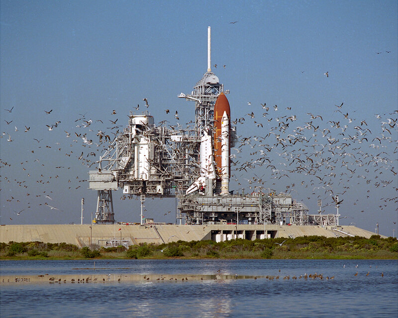 Space Shuttle on Launch Pad — Blue, Calm, Afternoon, Photograph, Birds