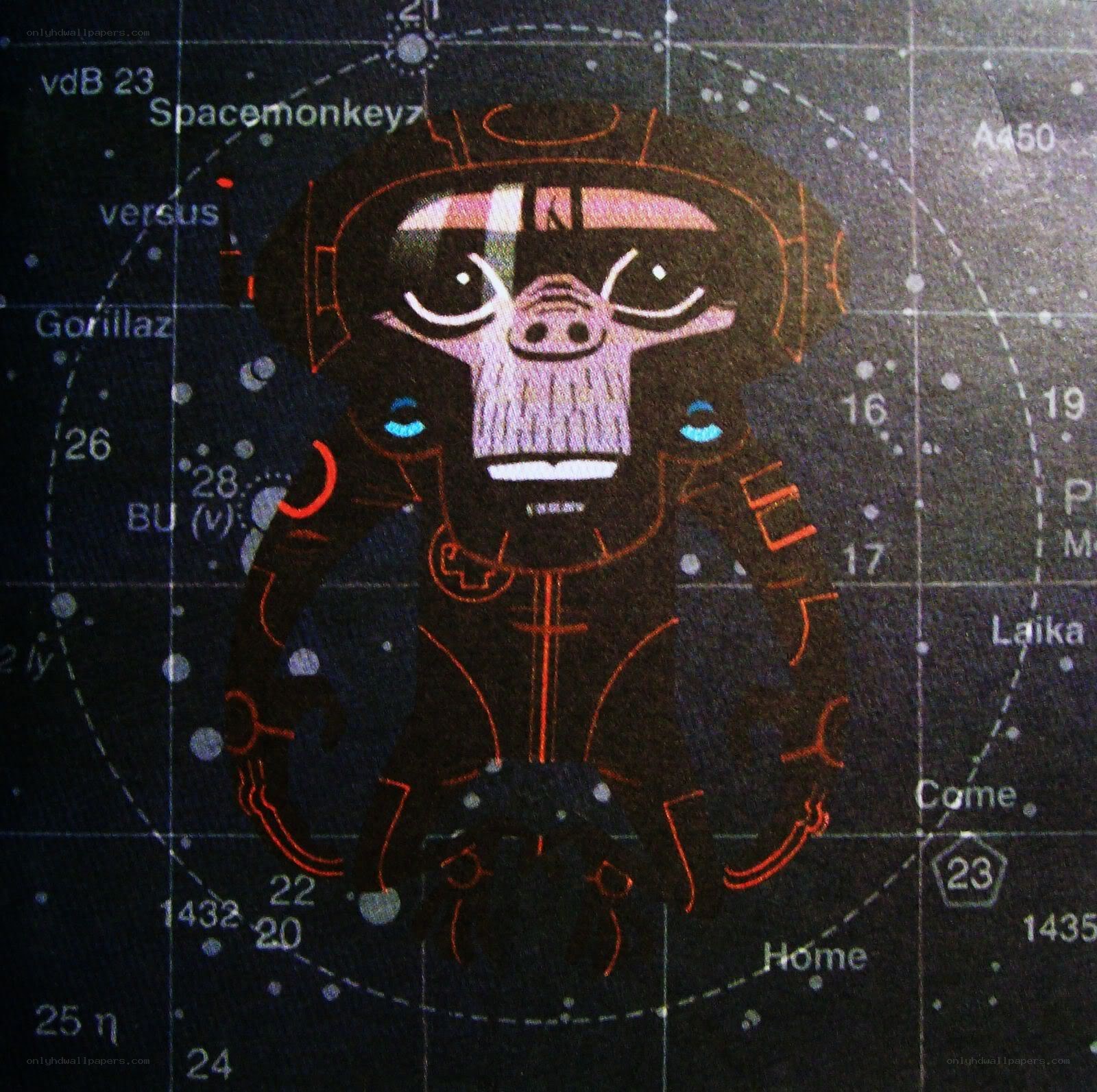 Spacemonkey constellation illustration