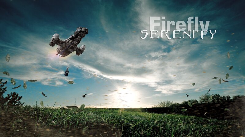 Spaceship in Field