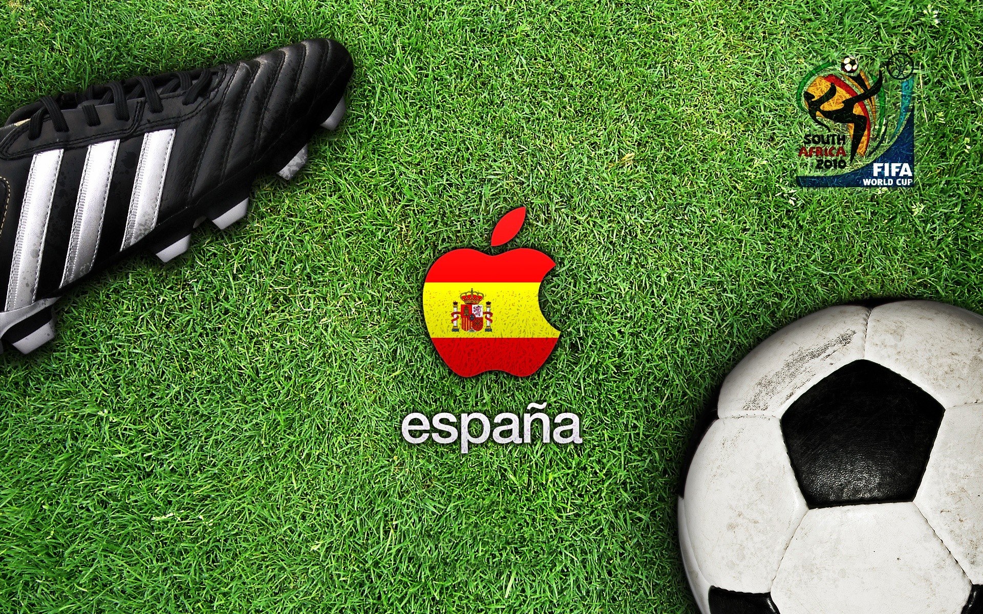 Spain football logo on grass