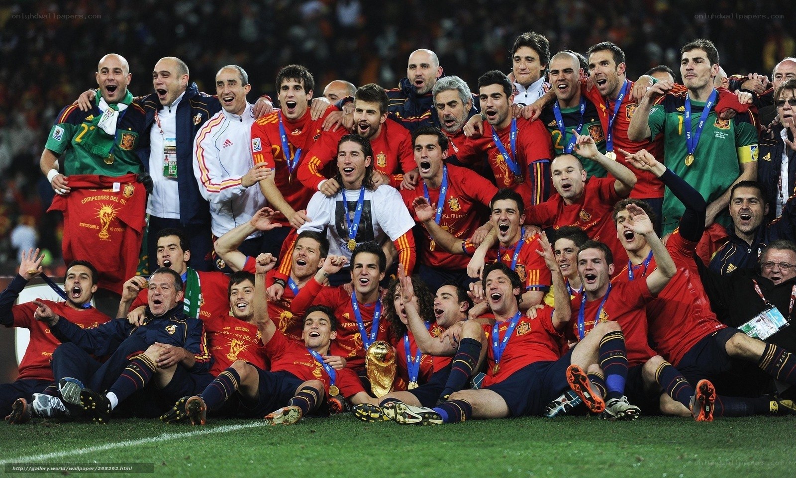Spain football team celebrates victory