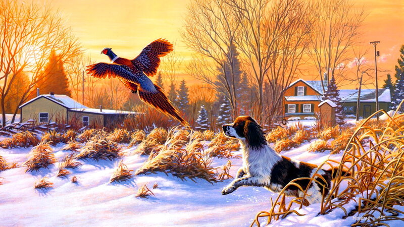 Spaniel Dog Chasing Pheasant — Orange