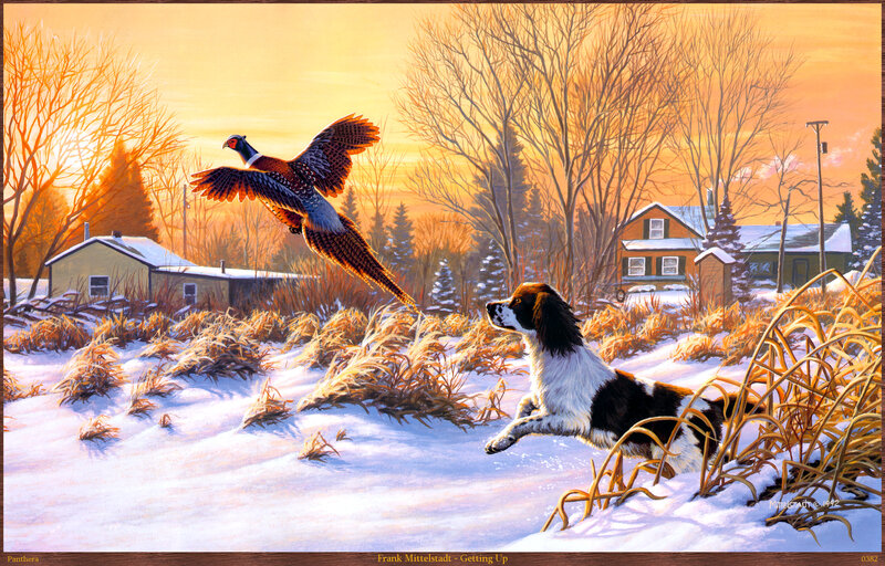 Spaniel Dog Chasing Pheasant