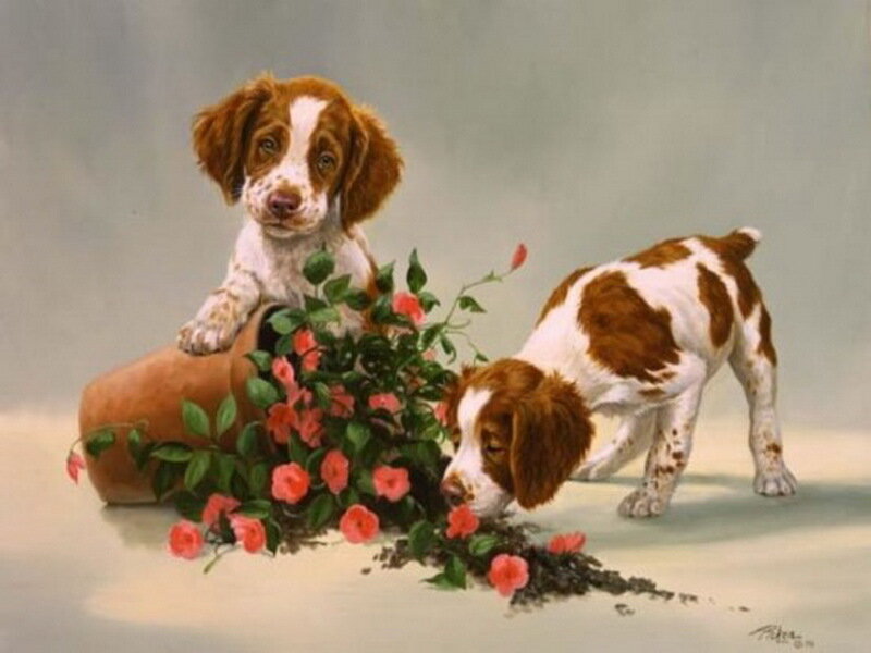 Spaniel Puppies with Flowers
