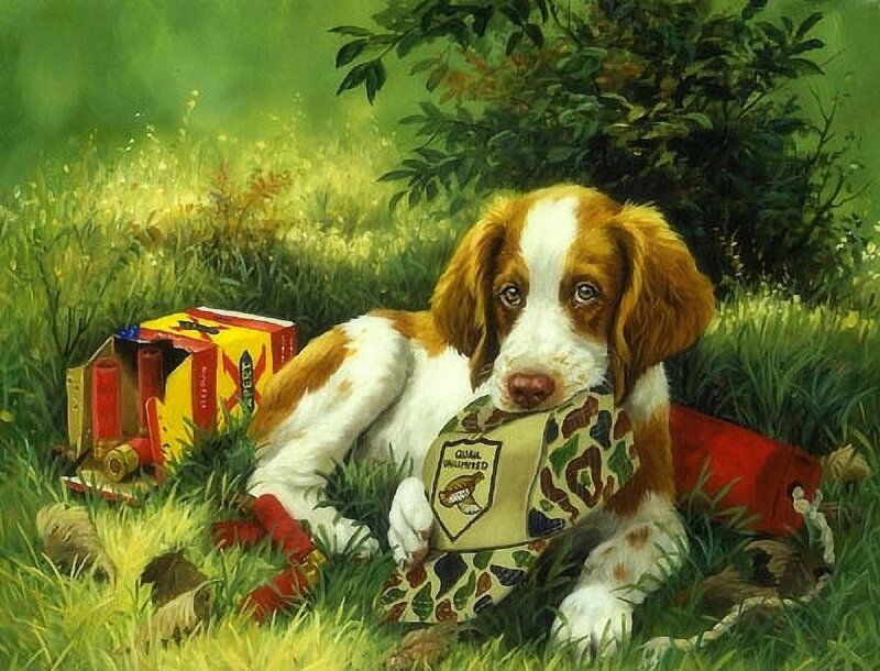 Spaniel Puppy in Grass — Green
