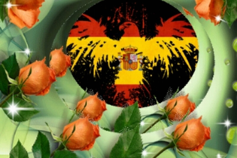 Spanish Flag with Roses