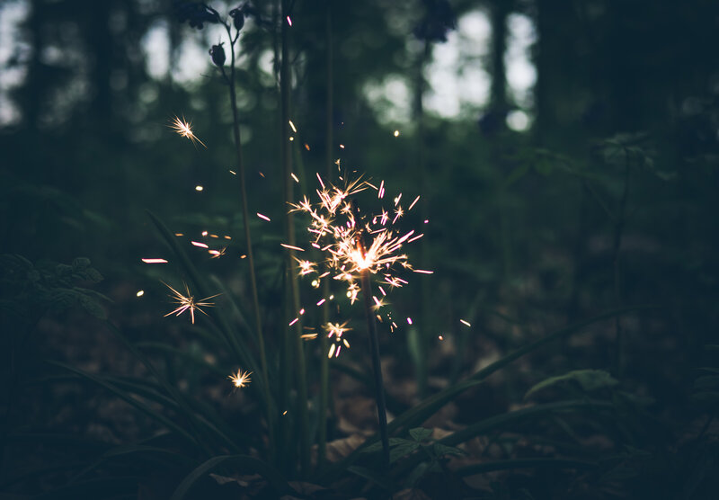 Sparkler in Forest