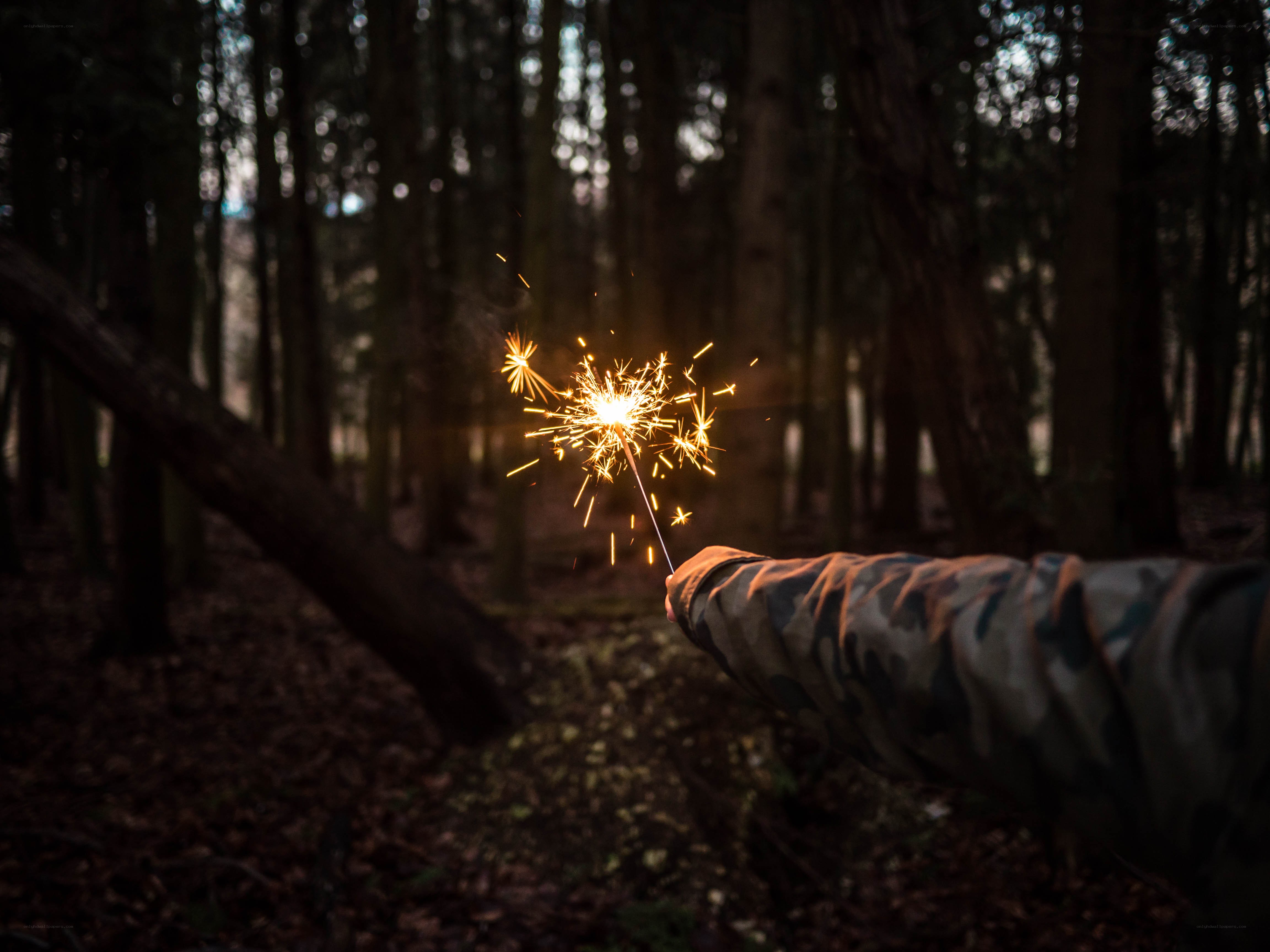 Sparkler in the forest