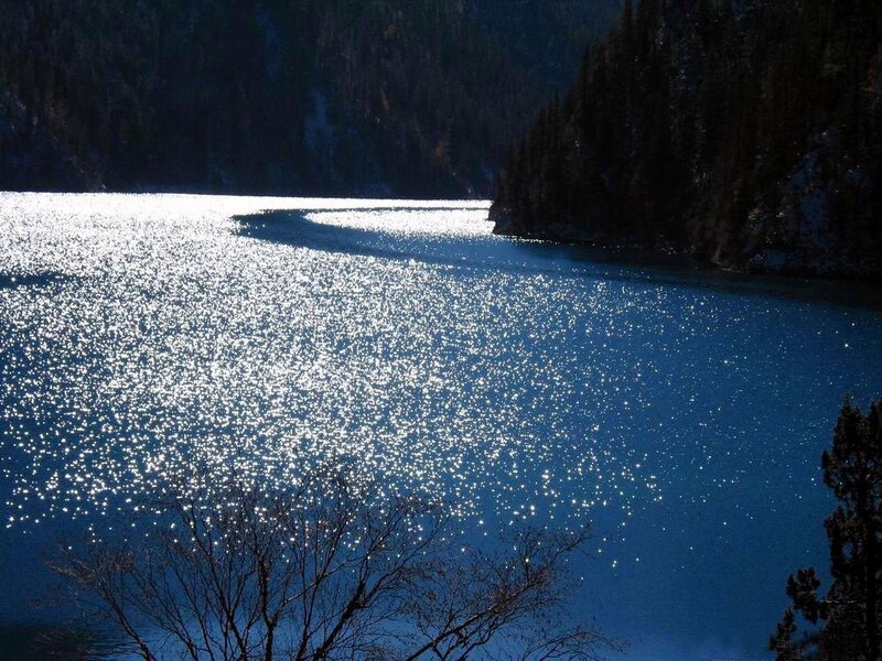 sparkling lake in forest